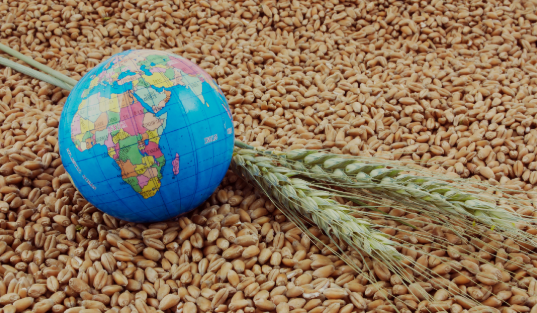 Penduduk Bumi Tembus 8 Miliar, Rawan Pangan Harus Diantisipasi